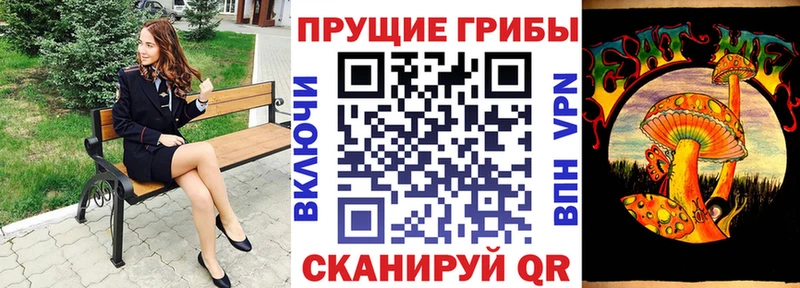 Галлюциногенные грибы прущие грибы  Дубна 