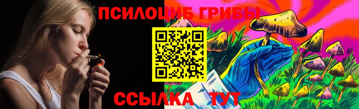 купить закладку  Дубна  Галлюциногенные грибы мухоморы 